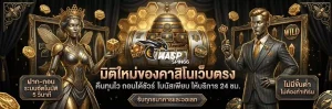 waspspin ทางเข้า