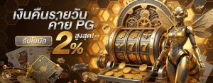waspspinโปรโมชั่น